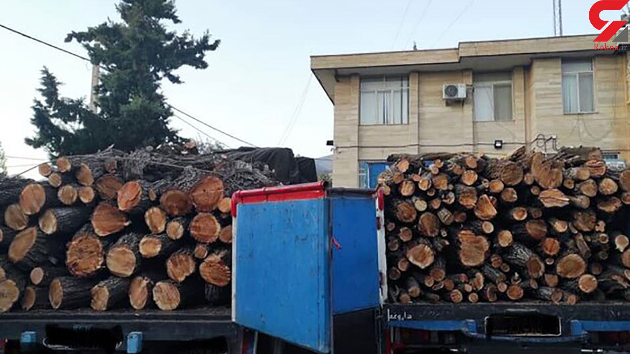 کشف ۱۵ تن چوب قاچاق در دلفان