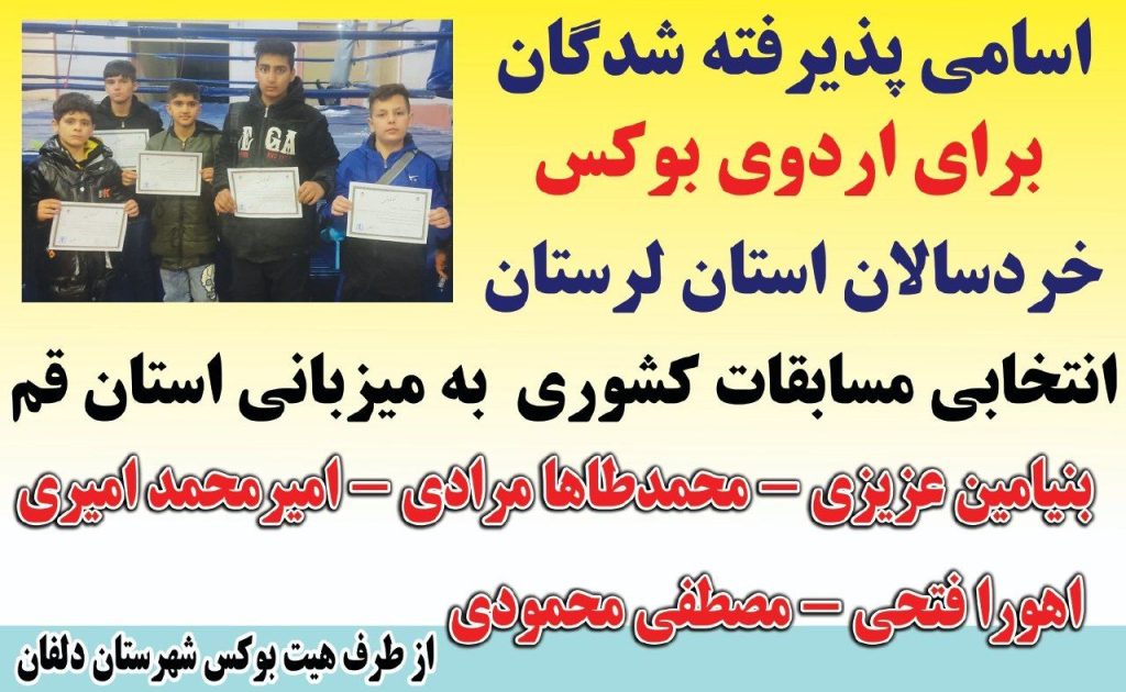 صدای دلفان | بوکس لرستان