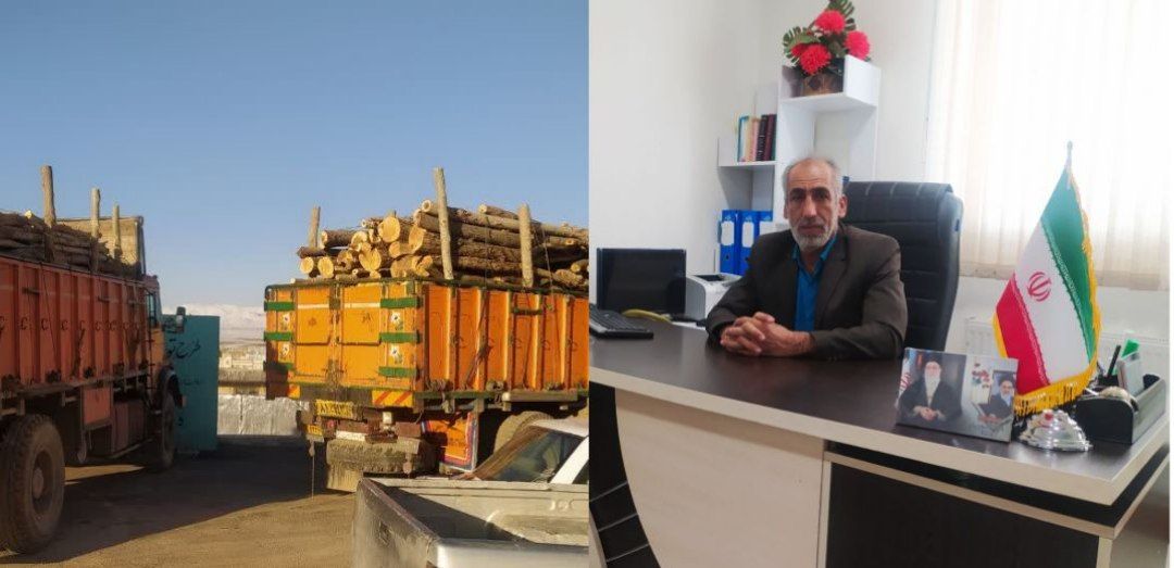 قطع وحمل هرگونه درخت باغی و غیر باغی در اراضی ملی در دلفان ممنوع شد