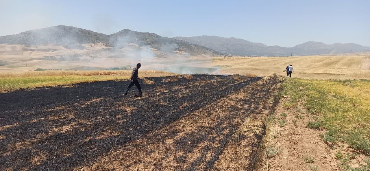 آتش سوزی در مزارع کشاورزی روستای فرهادآباد شهرستان دلفان