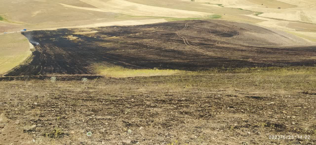 آتش سوزی در منطقه کاکاوند غربی شهرستان دلفان