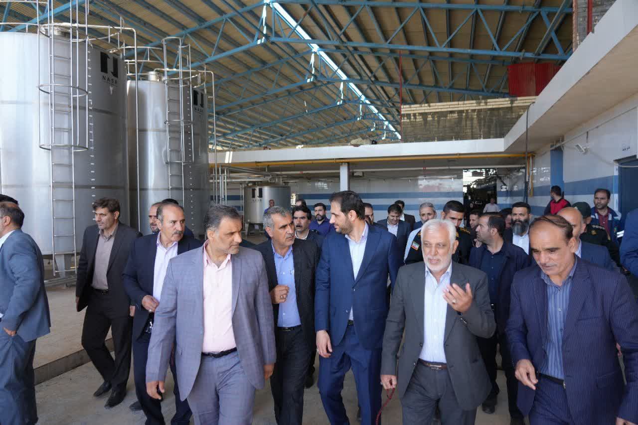 بازدید استاندار لرستان از گاوداری ۶ هزار راسی دلفان